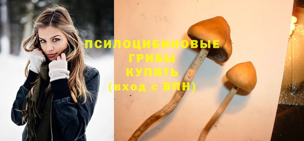 кокаин премиум Богородицк