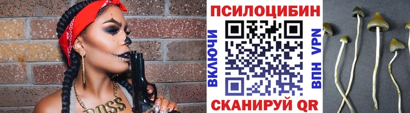 Псилоцибиновые грибы Psilocybine cubensis  Юрга 
